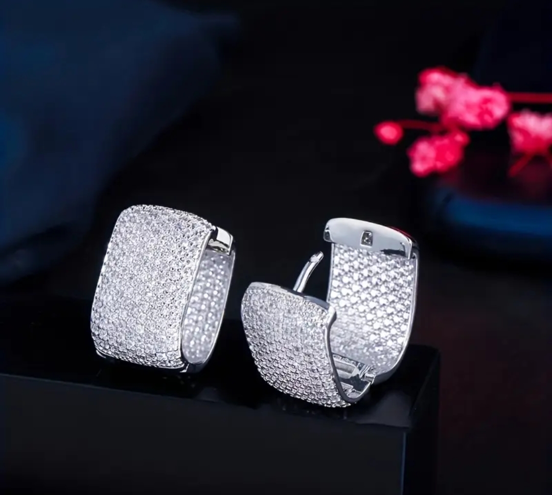 Zirkon taşlı küpe silver